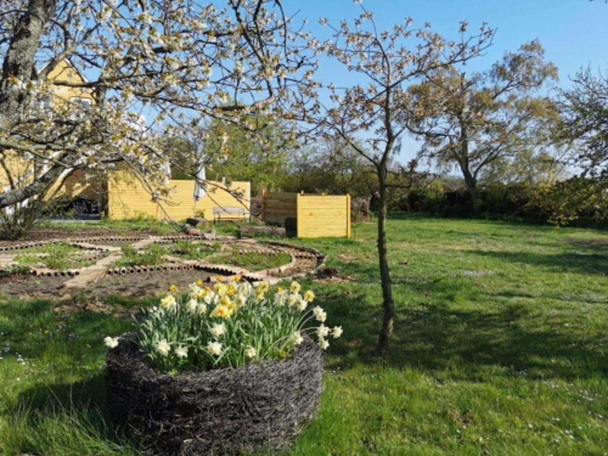 The 'Loft' Apartment- "Den Gule Svane" Guest House - Near Ronne & Beach Exterior foto